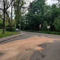 347130014_971033854080319_8219502055742604421_n_1.jpg